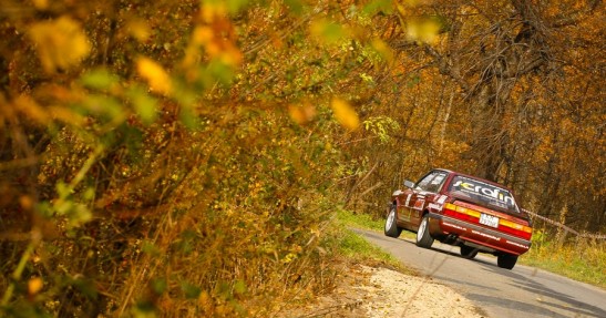 Rajd Żubrów 2013